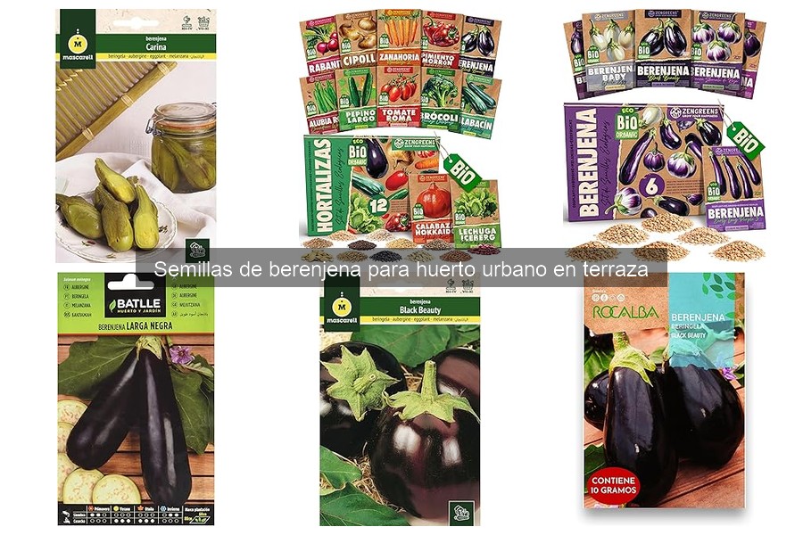 Alternativas a semillas de berenjena para huertos pequeños