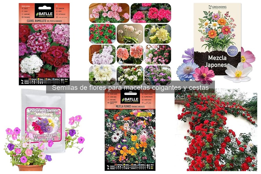 Alternativas a Semillas de Flores en Macetas Colgantes