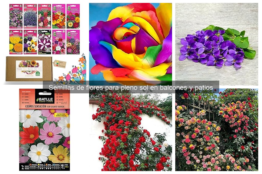 Alternativas a semillas de flores si no germinan