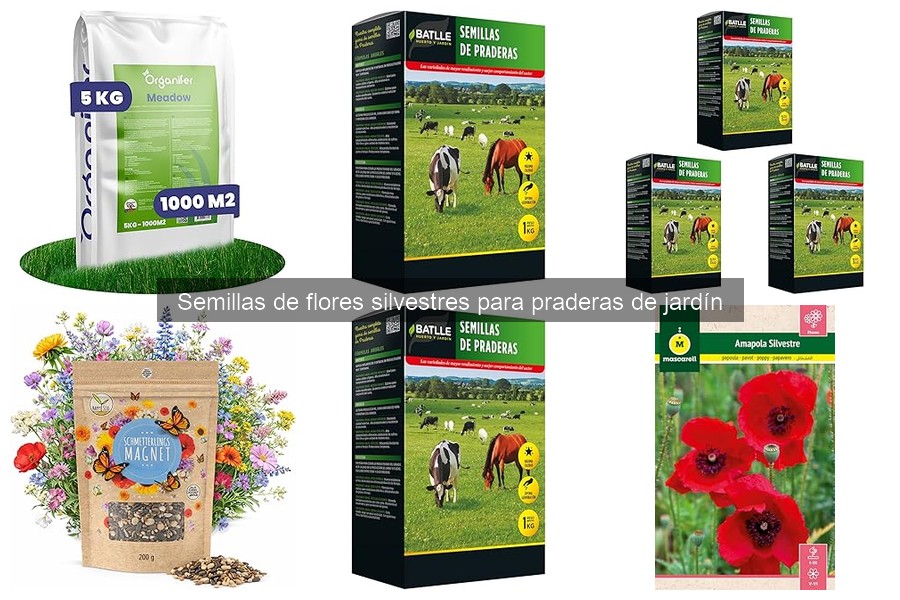 Alternativas a Semillas de Flores Silvestres para Jardines