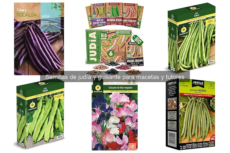 Alternativas a semillas de judía y guisante en macetas