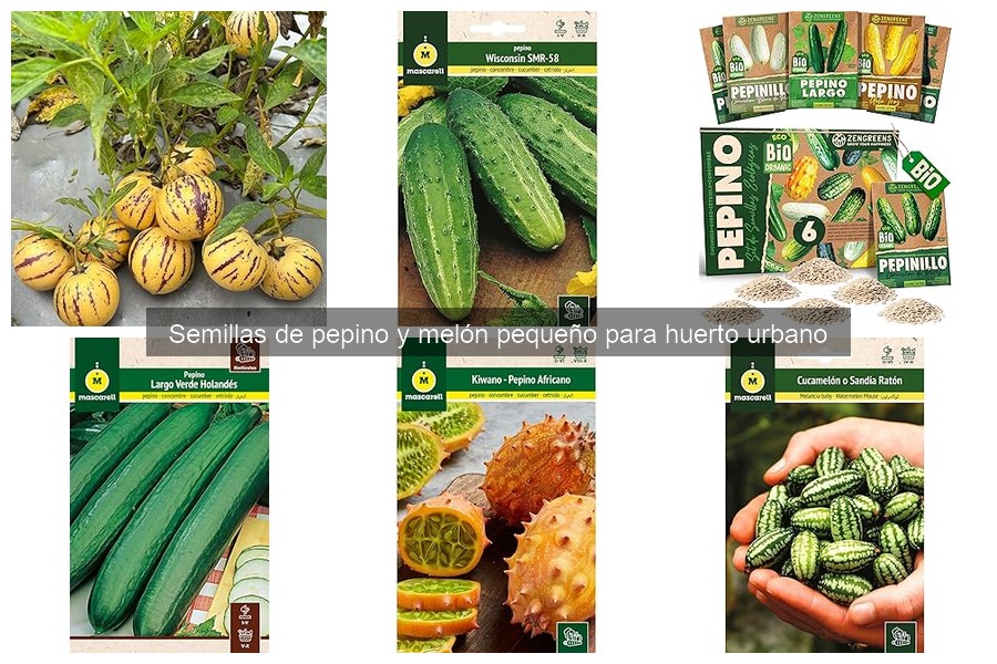 Alternativas a semillas de pepino y melón para huertos urbanos