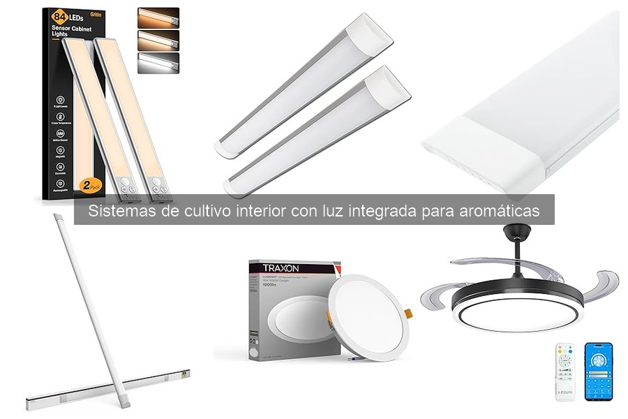 Alternativas a sistemas de cultivo con luz integrada para aromáticas