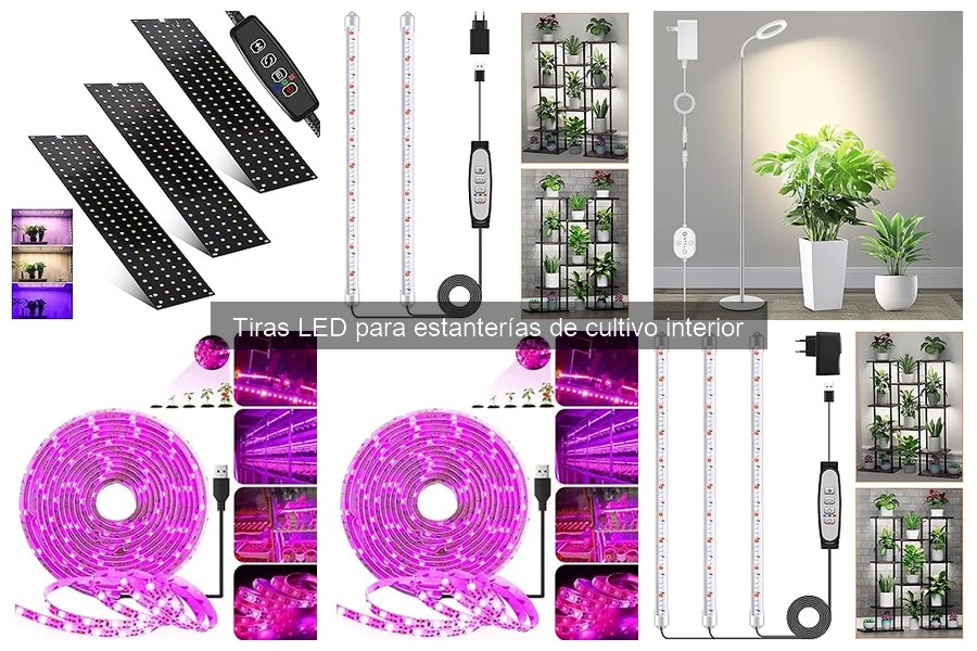 Alternativas a Tiras LED para Cultivo Interior: Pros y Contras