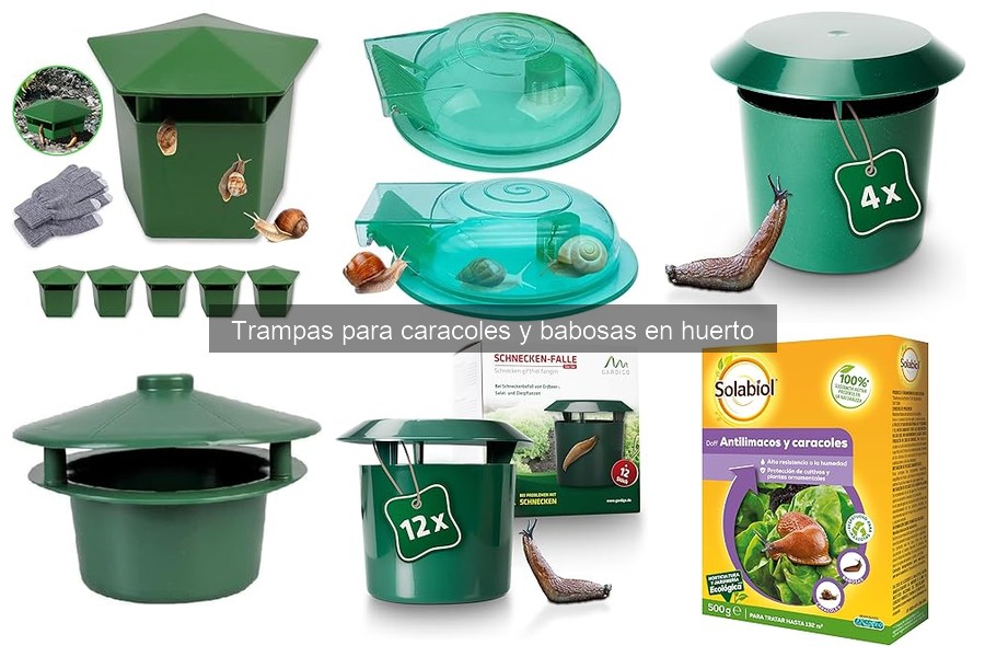 Alternativas a trampas para caracoles y babosas en el huerto