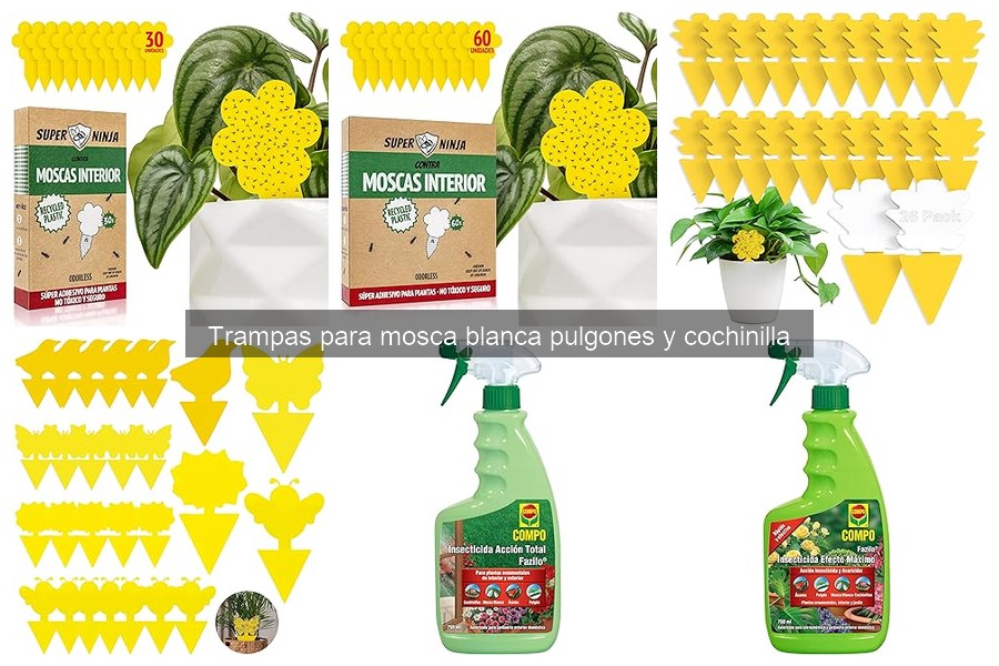 Alternativas a trampas para plagas en jardines y huertos