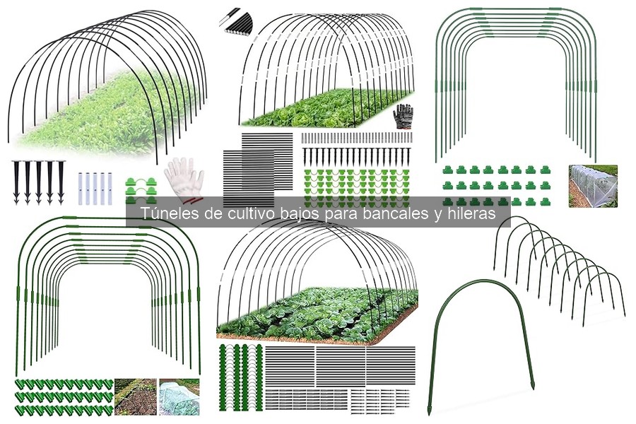 Alternativas a túneles de cultivo bajos: opciones efectivas