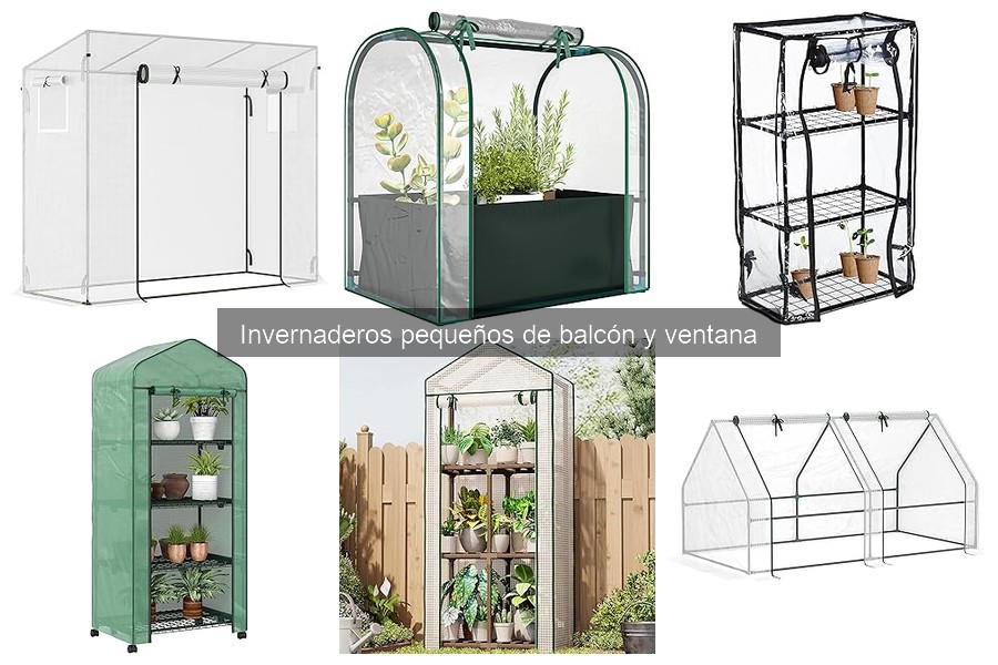 Alternativas accesibles a invernaderos pequeños de balcón