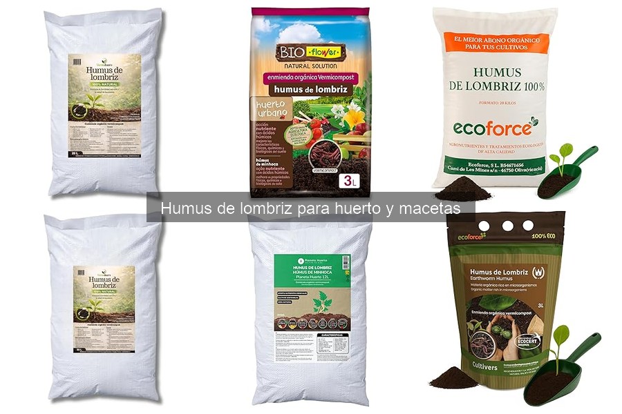 Alternativas al humus de lombriz: abonos naturales efectivos
