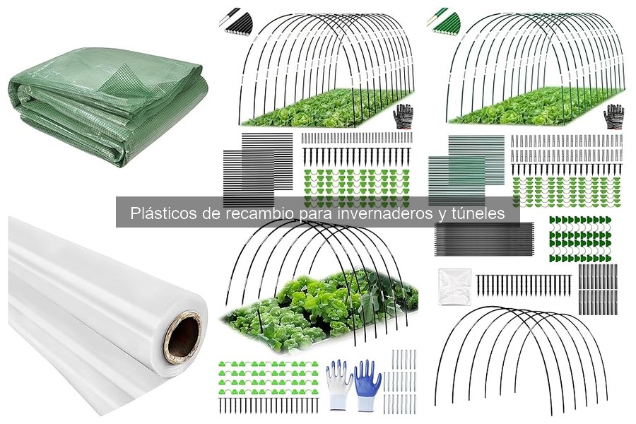Alternativas al plástico para invernaderos: soluciones efectivas