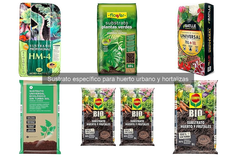 Alternativas al sustrato para hortalizas: ventajas y desventajas