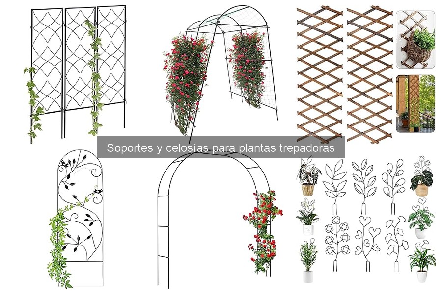 Alternativas creativas a celosías para plantas trepadoras