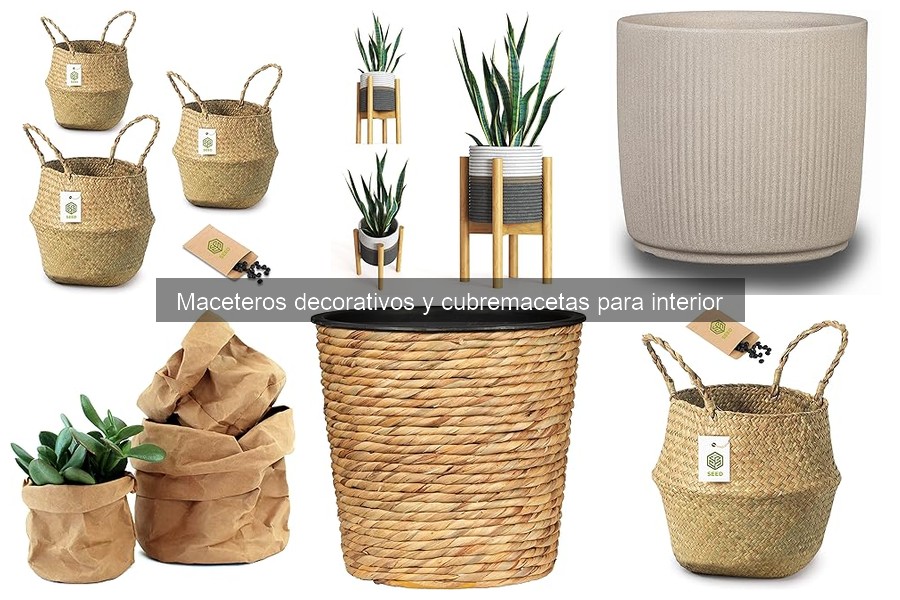 Alternativas Creativas a Maceteros Decorativos para Interior