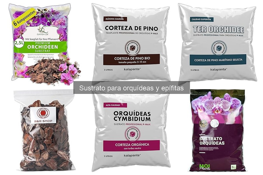 Alternativas de Sustrato para Orquídeas: Pros y Contras