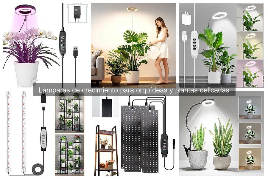 Alternativas efectivas a lámparas de crecimiento para orquídeas