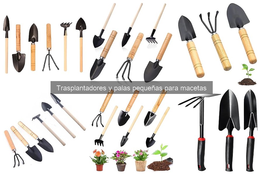 Alternativas efectivas a los trasplantadores para tus plantas