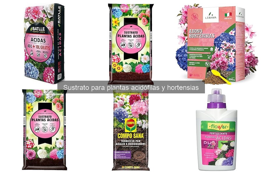 Alternativas Naturales al Sustrato para Plantas Acidófilas