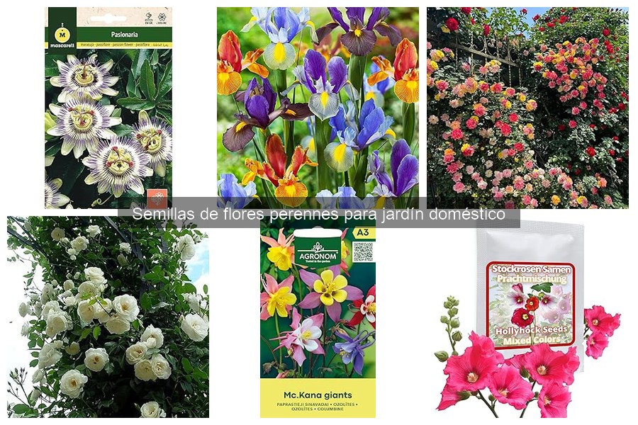 Alternativas si las semillas de flores perennes no germinan