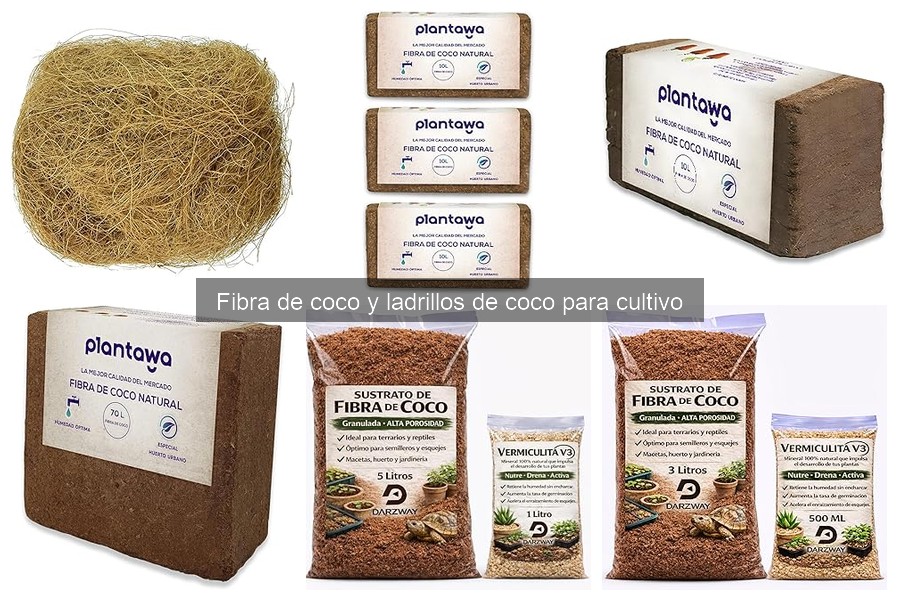 Aplicaciones prácticas de la fibra de coco en cultivos