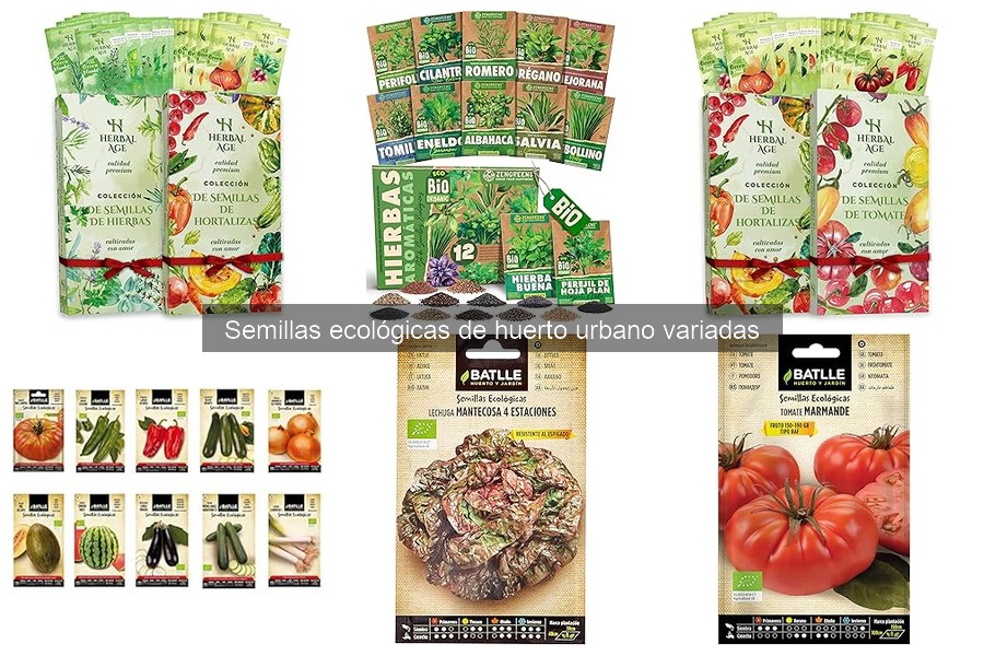 Aprende a plantar y cuidar semillas ecológicas fácilmente