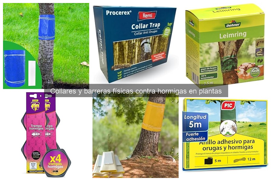 Beneficios de barreras físicas para control de hormigas