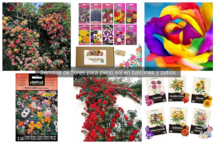 Beneficios de cultivar flores para el medio ambiente en balcones