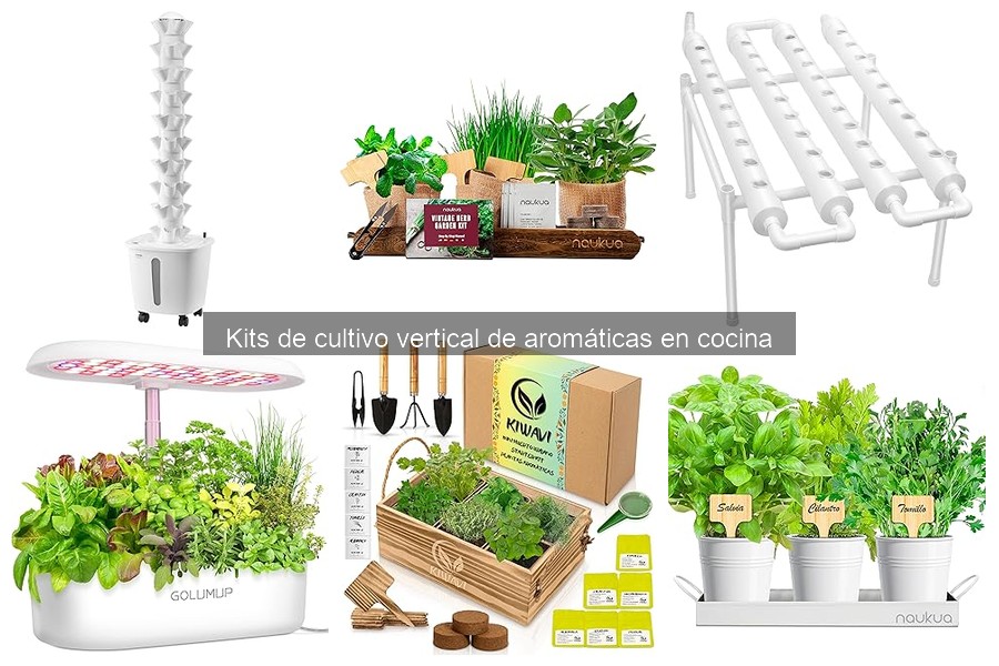 Beneficios de Cultivar Hierbas Aromáticas en Casa