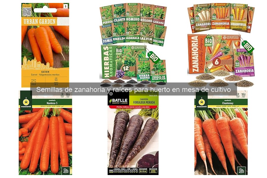 ** Beneficios de cultivar zanahorias en mesa de cultivo