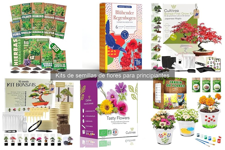 Beneficios de los kits de semillas de flores para principiantes