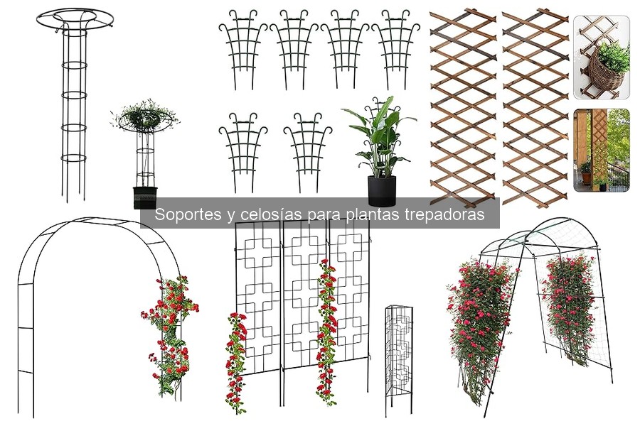 Beneficios de los Soportes Verticales en Jardines Pequeños