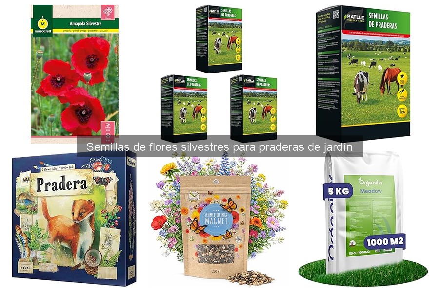 Beneficios de Plantar Flores Silvestres en tu Jardín