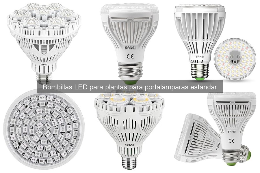 Beneficios de usar bombillas LED para el crecimiento de plantas