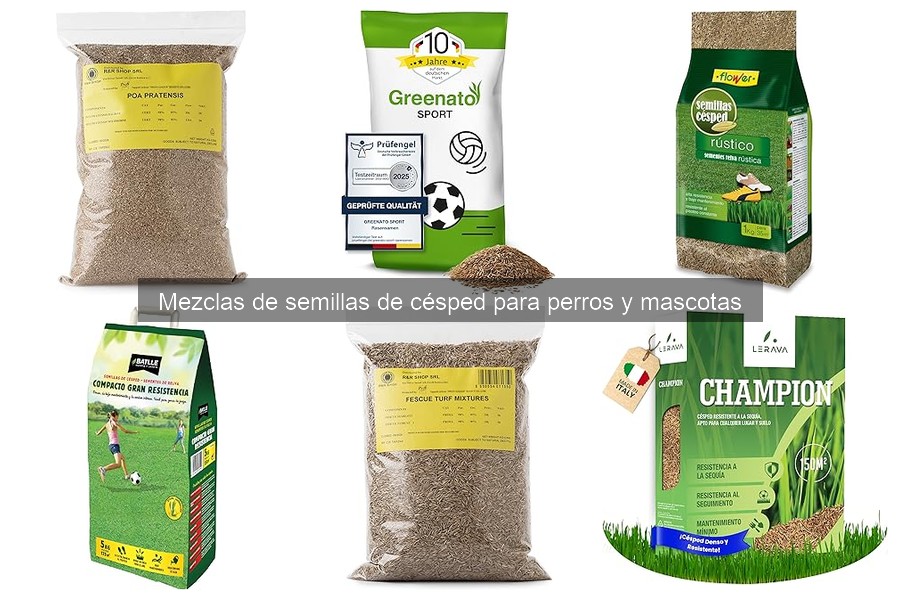 Beneficios de usar semillas de césped para mascotas