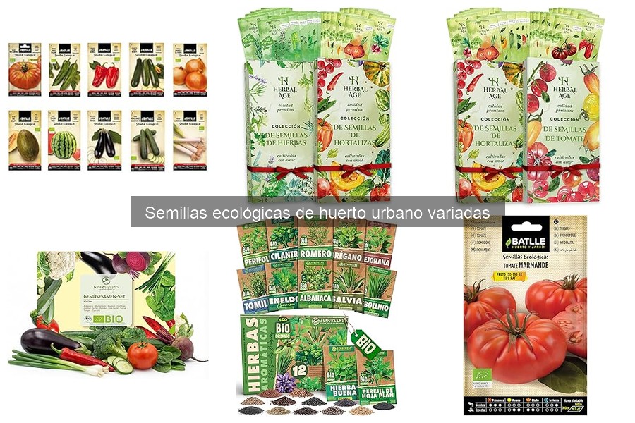 Beneficios de usar semillas ecológicas en tu huerto urbano