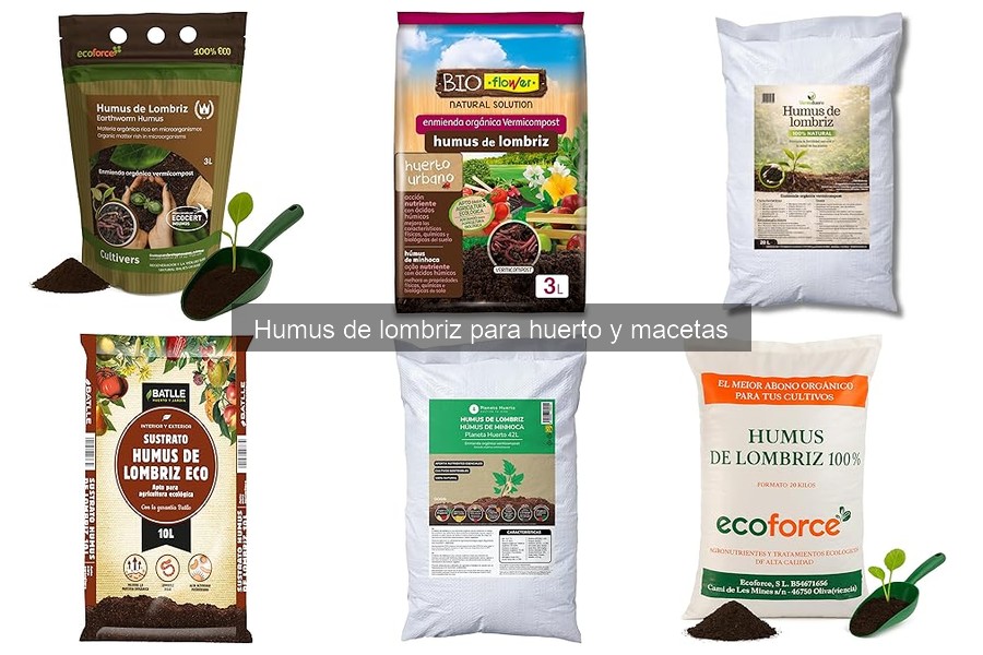 Beneficios del Humus de Lombriz en Cultivos de Terraza