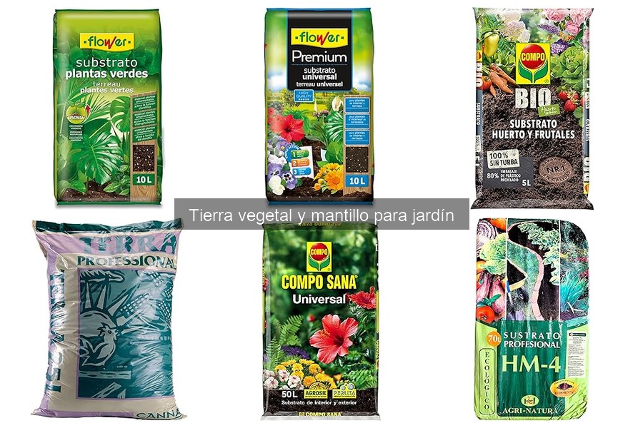 Beneficios del Mantillo en el Jardín: ¡Descubre sus Ventajas!