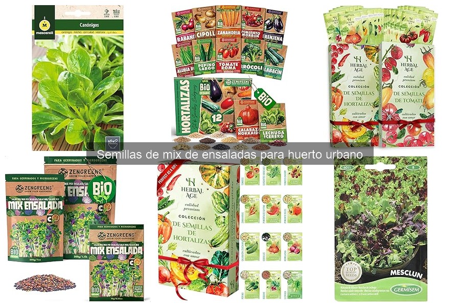 Beneficios nutricionales de los mix de ensaladas cultivadas en casa
