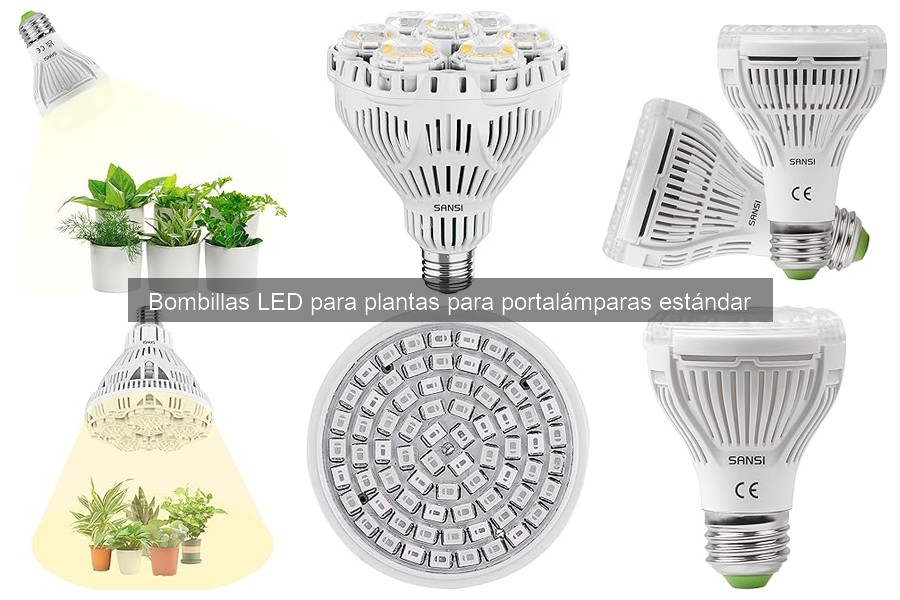 Bombillas LED para plantas: ¿Qué son y sus ventajas?