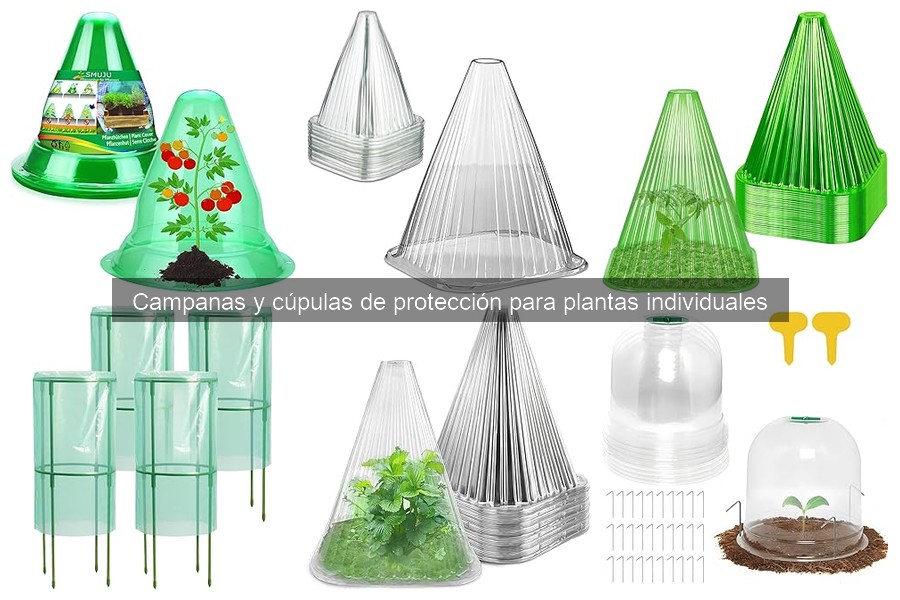 Campanas y cúpulas de protección para plantas: ¿Qué son?