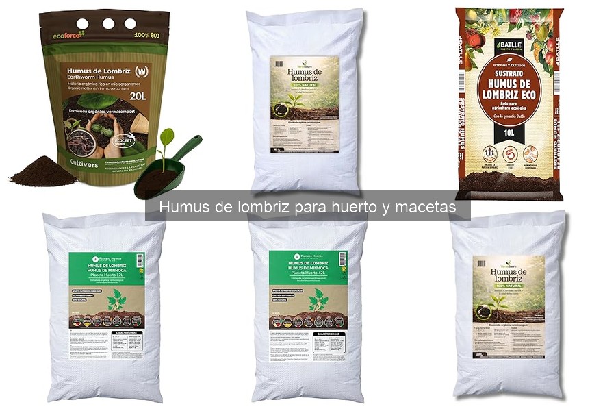 Cantidad ideal de humus de lombriz por maceta