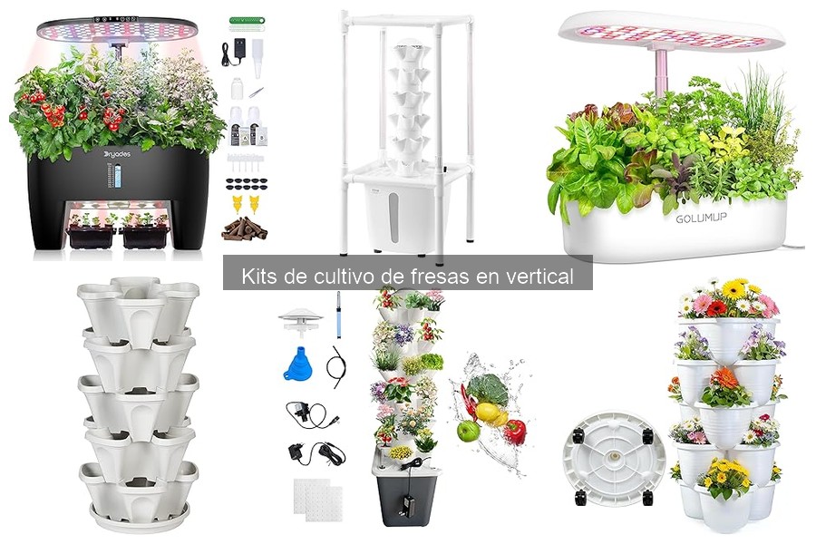 Características del Mejor Kit de Cultivo de Fresas en Vertical