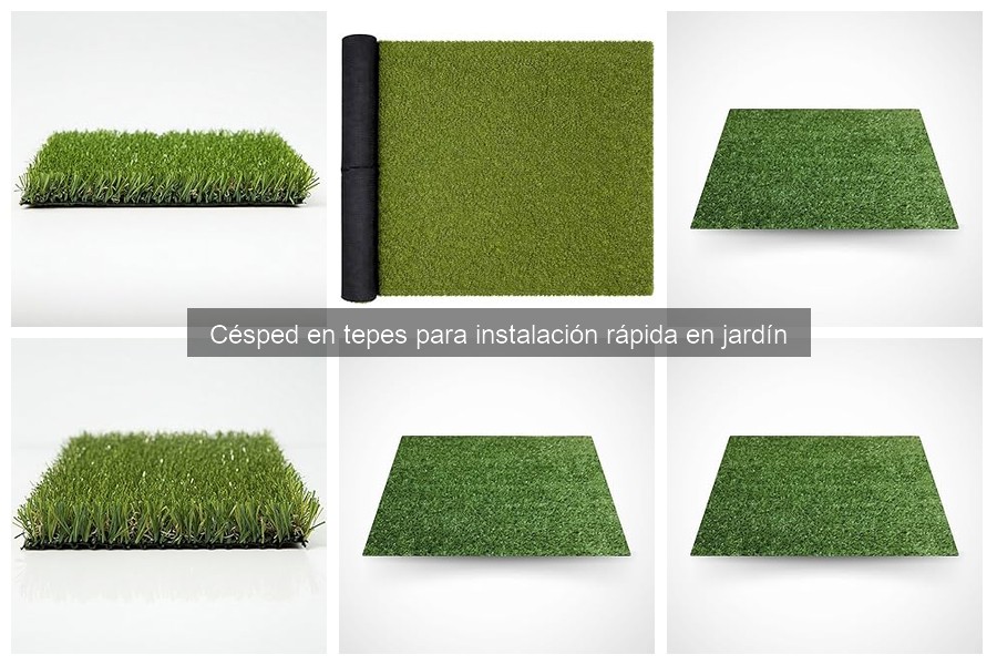 Césped en Tepes: ¿Adecuado para Áreas con Sombra?