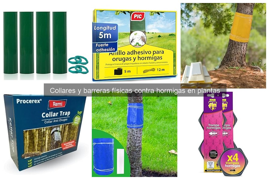 Collares y barreras contra hormigas: ¿Qué son y cómo funcionan?