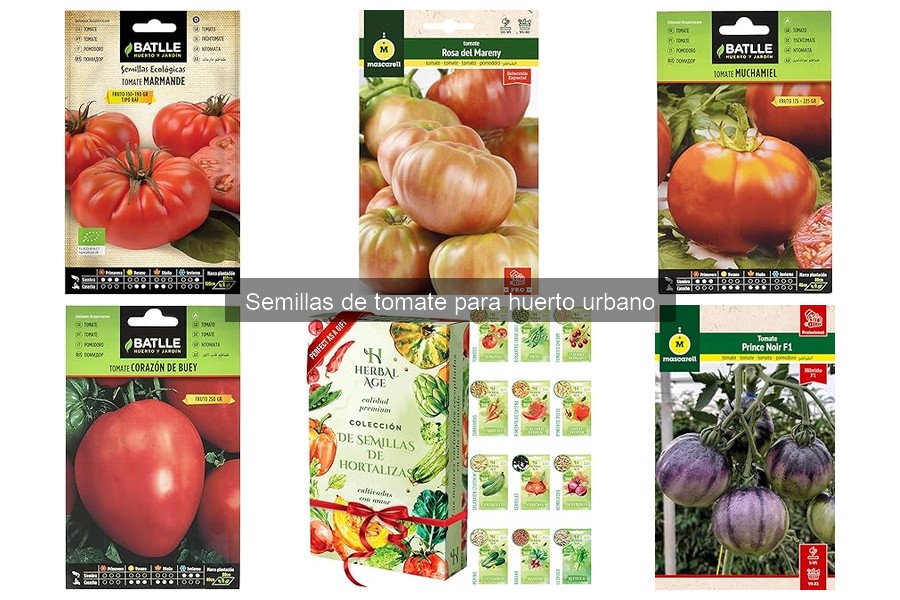 Cómo almacenar semillas de tomate para huerto urbano
