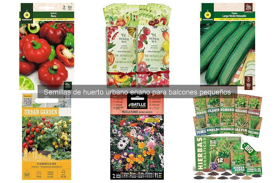 Cómo aprovechar el espacio en huertos urbanos enanos