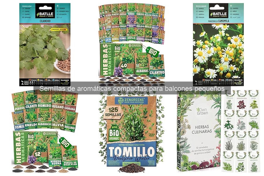 Cómo conservar semillas de aromáticas para el próximo año