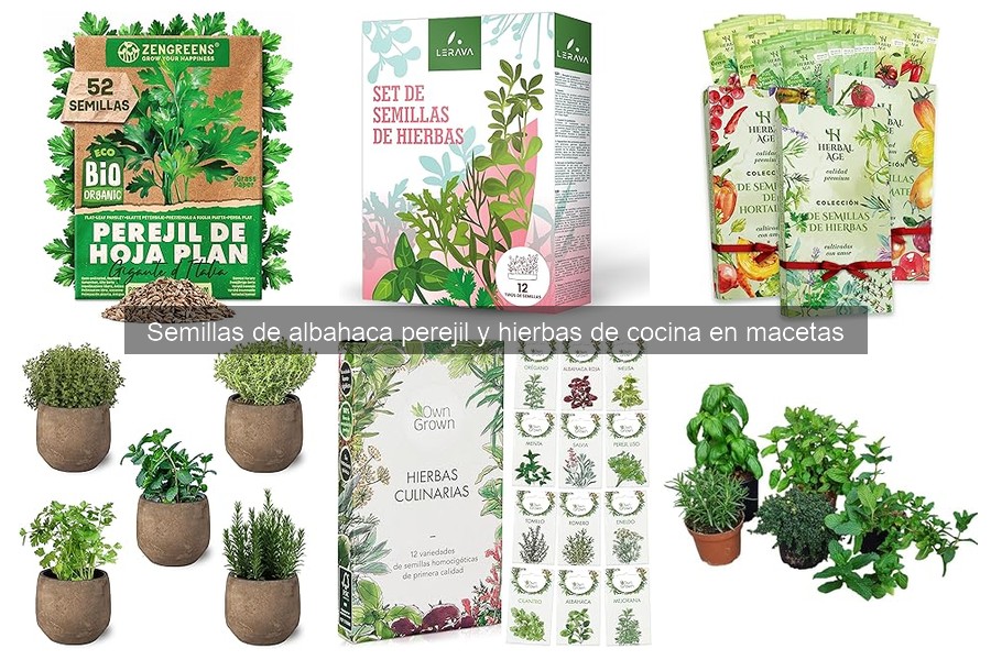 Cómo cosechar semillas de albahaca para replantar fácilmente