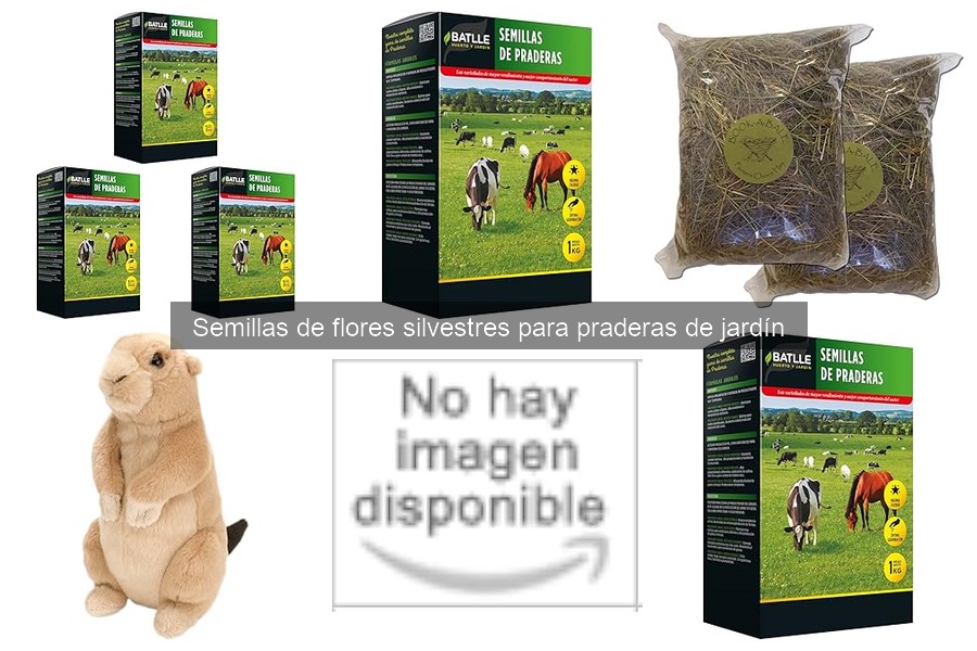 Cómo Crear una Pradera de Flores Silvestres en tu Jardín