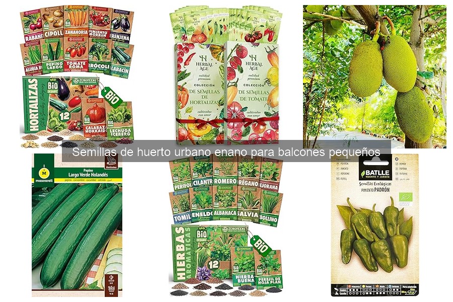 Cómo cuidar las semillas de un huerto urbano enano