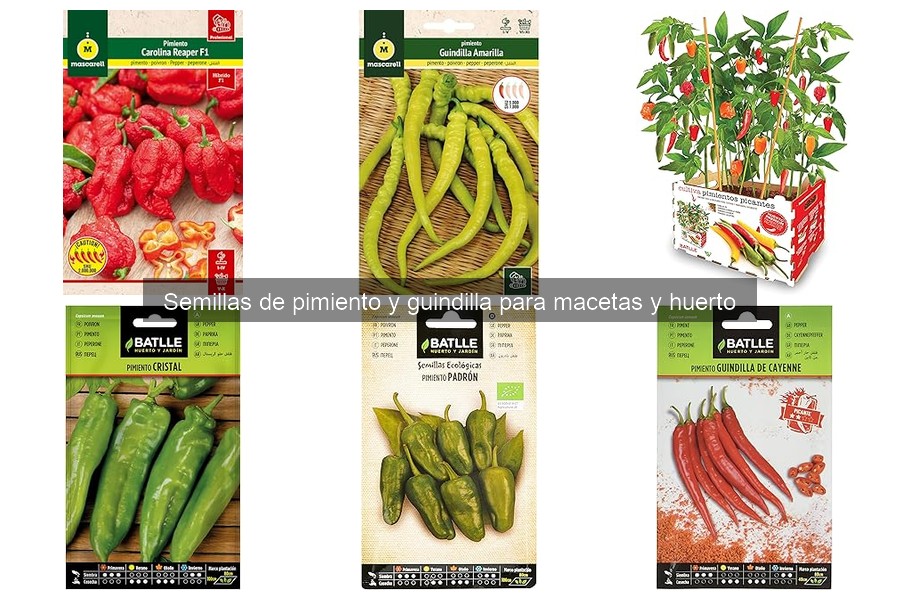 Cómo cuidar plantas de pimiento tras la germinación